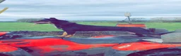 Australian Kelpie dogs for sale: Kelpie pups  in Cheddar - Advert 13