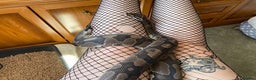 Python Snake reptiles for sale: Ball python - Advert 1