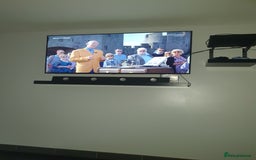 Rottweiler dogs for sale: Kc reg full German champion rottweiler puppies   - Image 27