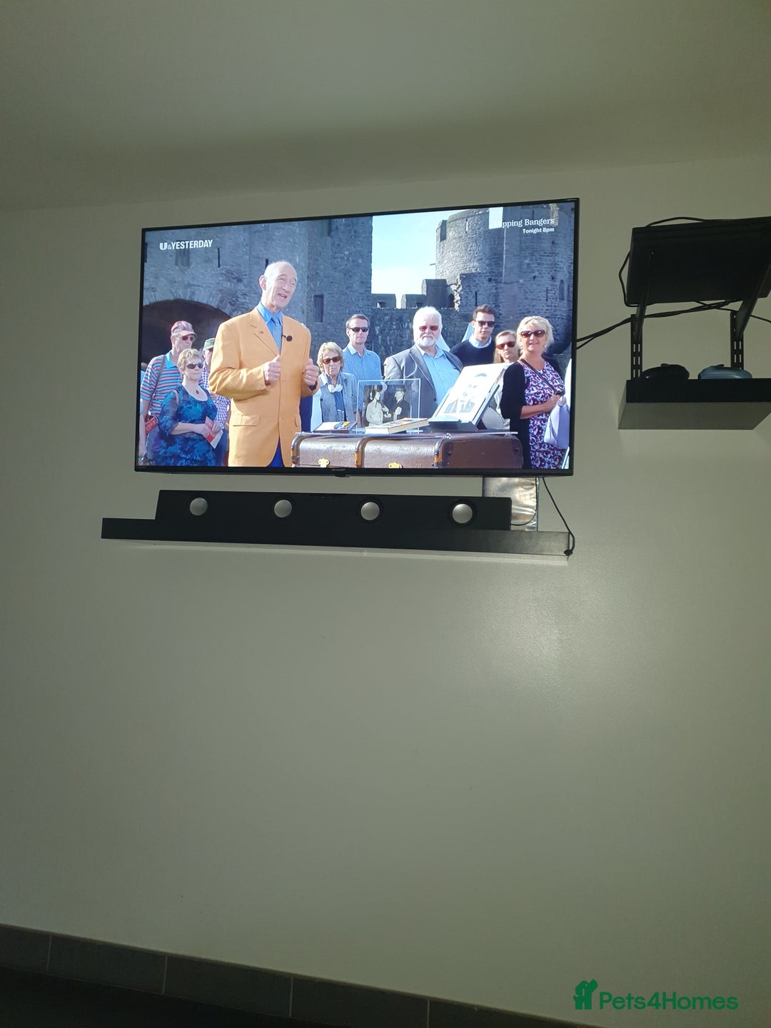 Rottweiler dogs for sale: Kc reg full German champion rottweiler puppies   - Image 27