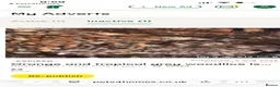 Snails invertebrates for sale: Giant African land snails  - Advert 5