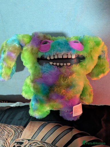 Gallery Image {{count}}