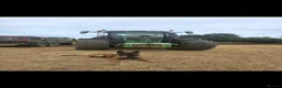Belgian Shepherd Dog dogs for sale: Belgian Mali - Advert 3