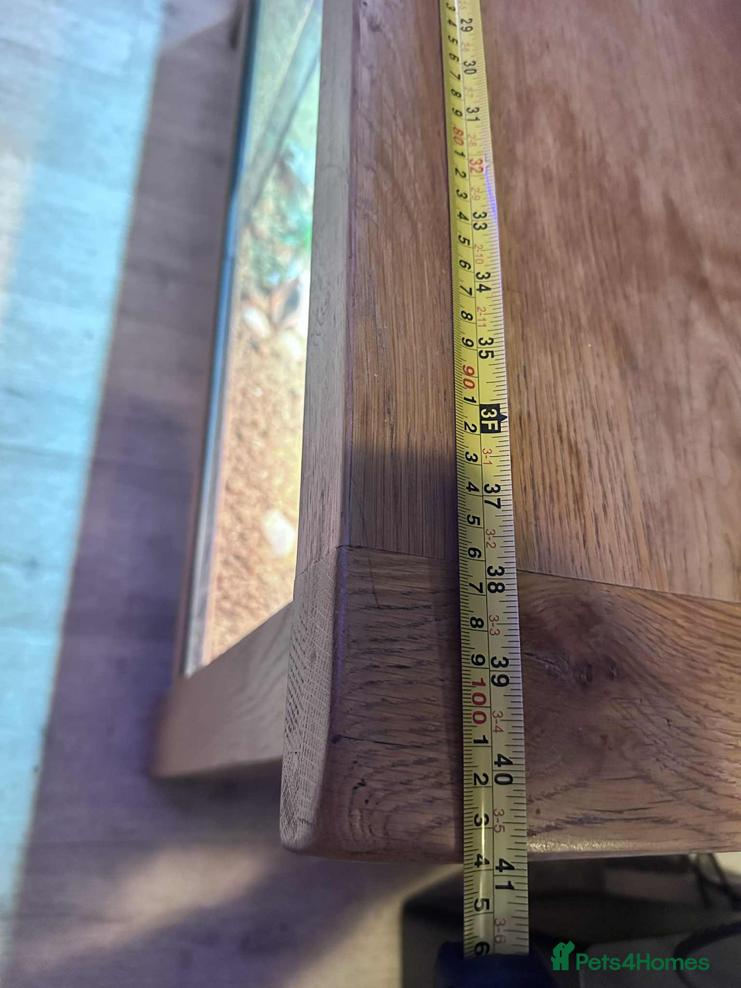 Leopard Gecko reptiles for sale: leopard gecko 5 years old - Advert 3