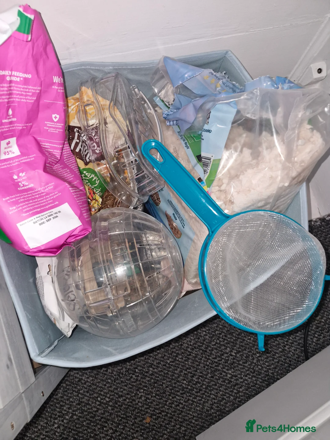 Hamster rodents for sale: Benson syrian hamster full set up - Advert 2