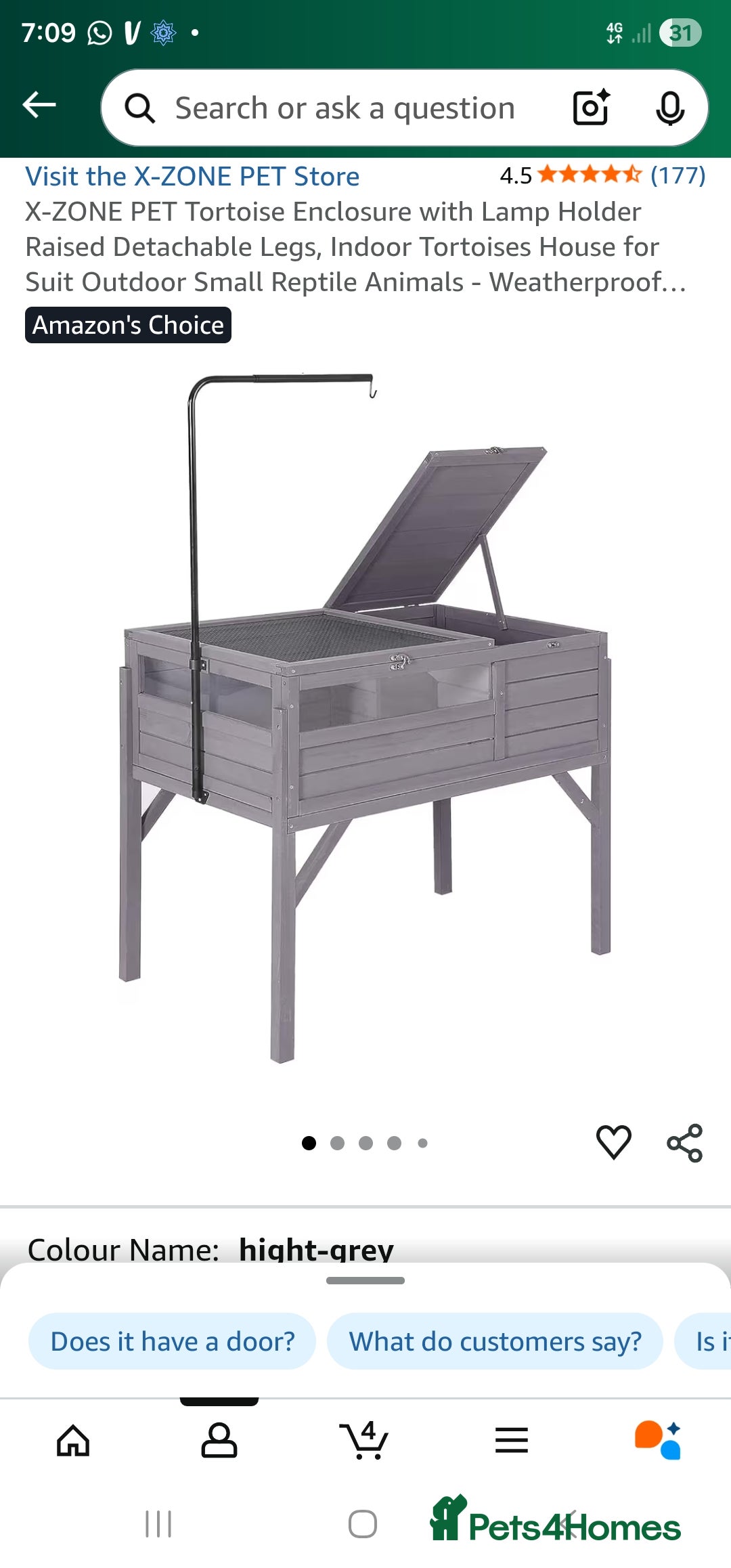 Tortoise reptiles for sale: 2 Sulcata tortoise - Advert 2