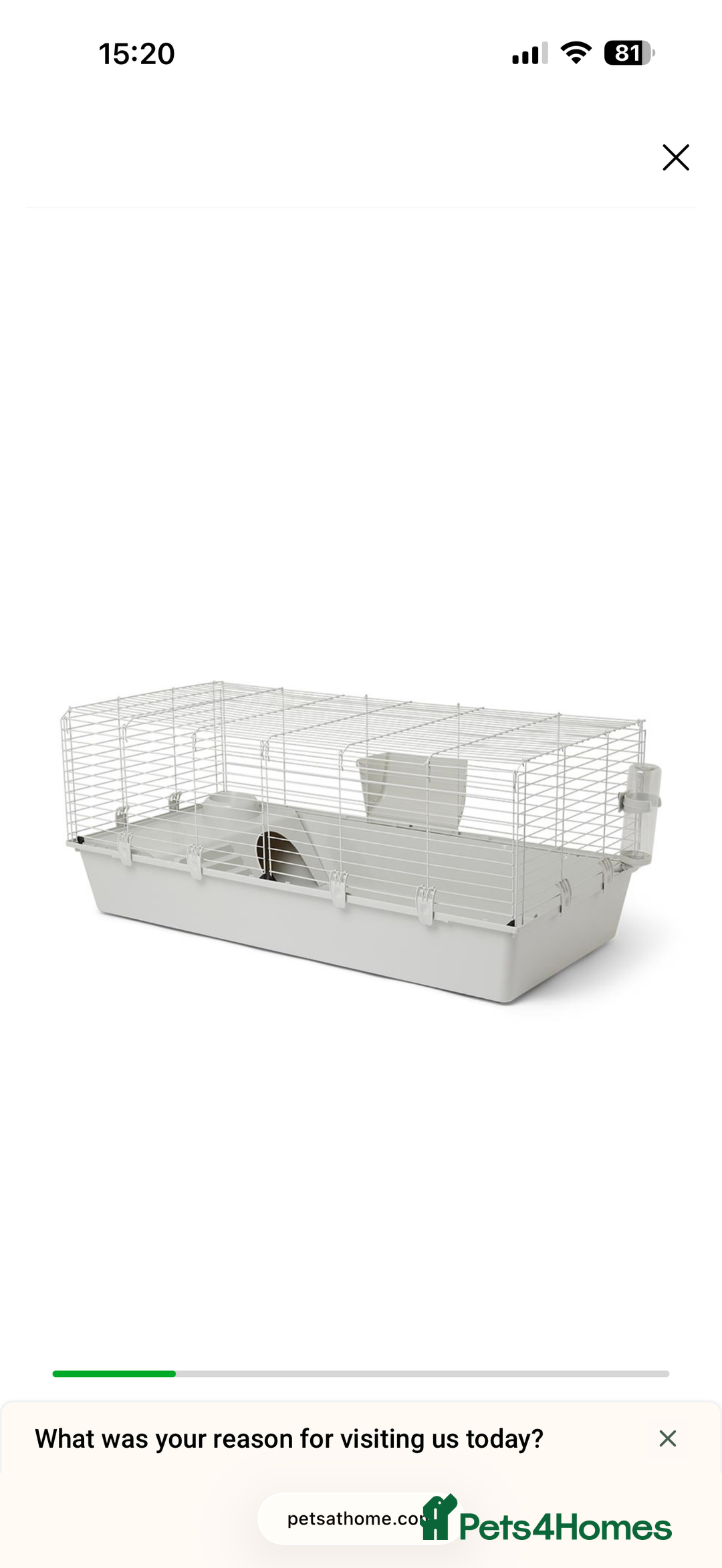 Mixed Breed rabbits for sale: 2 Female Rabbits & equipment  - Advert 5