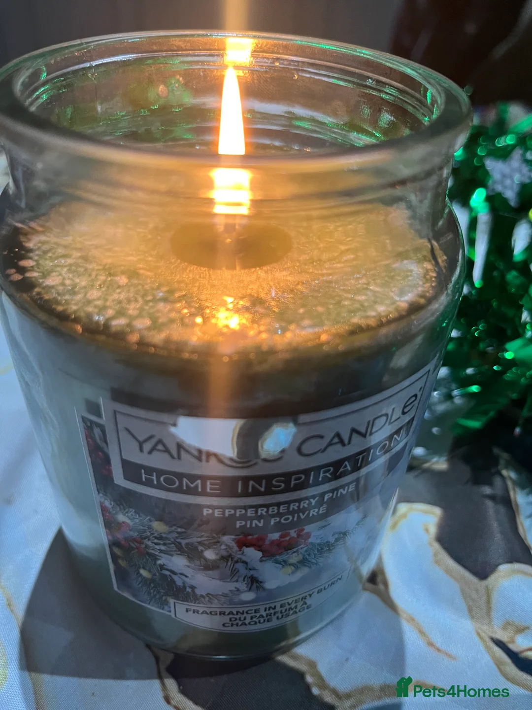 German Shepherd dogs for sale: KC reg German shepherd puppies  - Advert 6