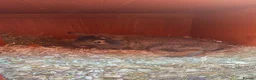 Mixed Breed rabbits for sale: ✨🐇Cute Mixed Breed Baby Bunnies Available😍🐇 - Advert 15