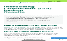 Toy Poodle dogs for sale: Adorable Deep Red Toy Poodle Puppies Available! 🐾 - Image 33