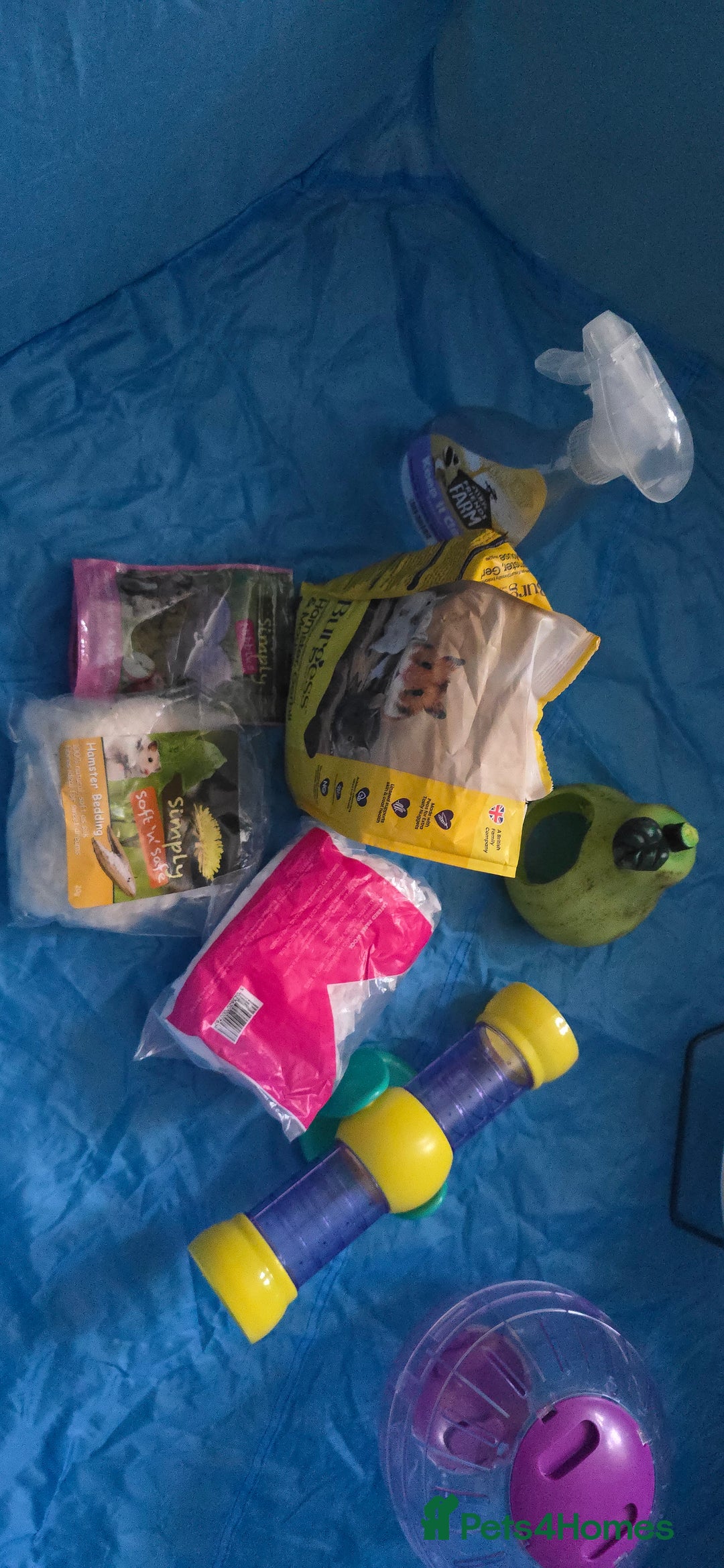 Hamster rodents for sale: Syrian female hamster no offers - Image 9