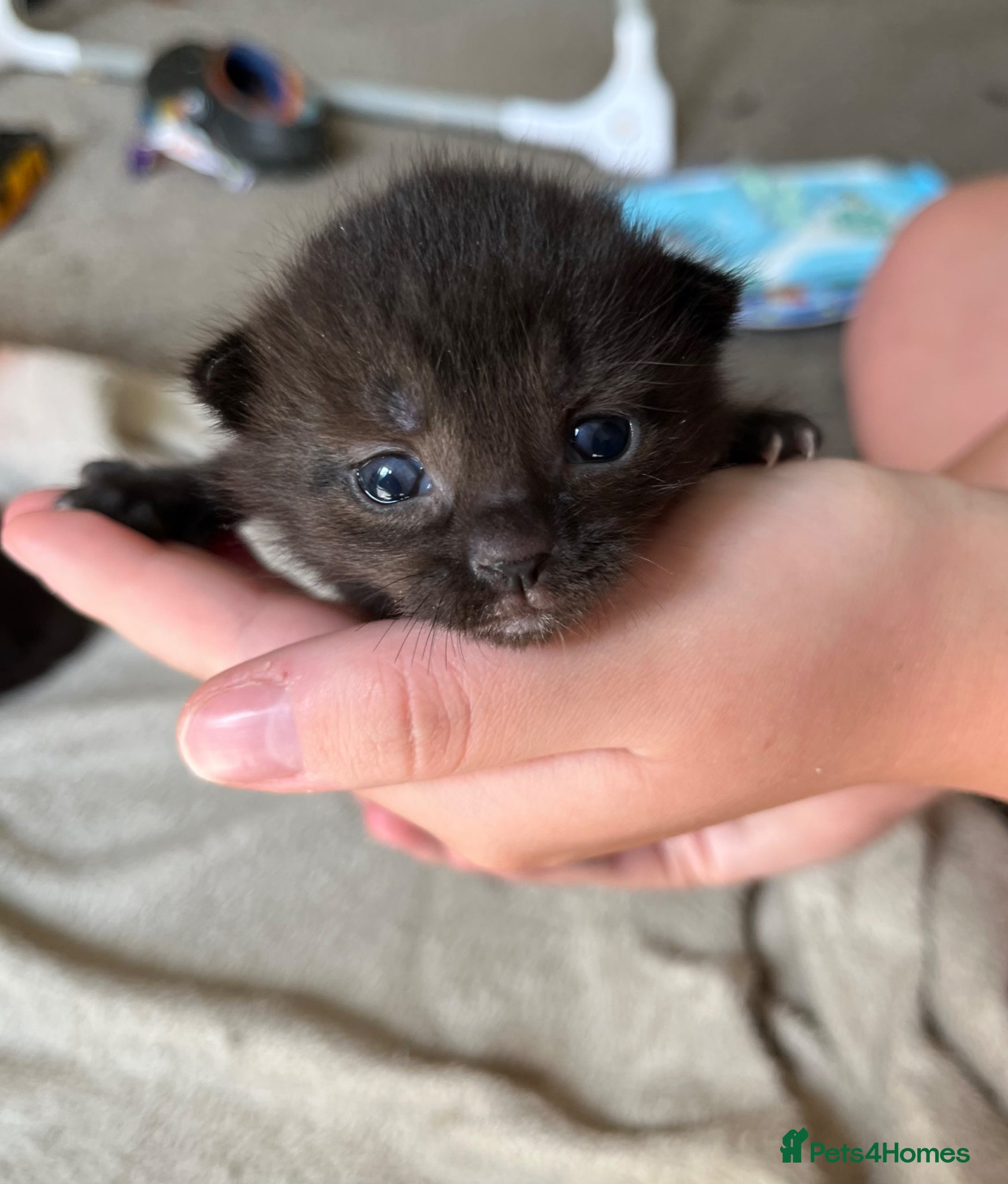 All black male 
