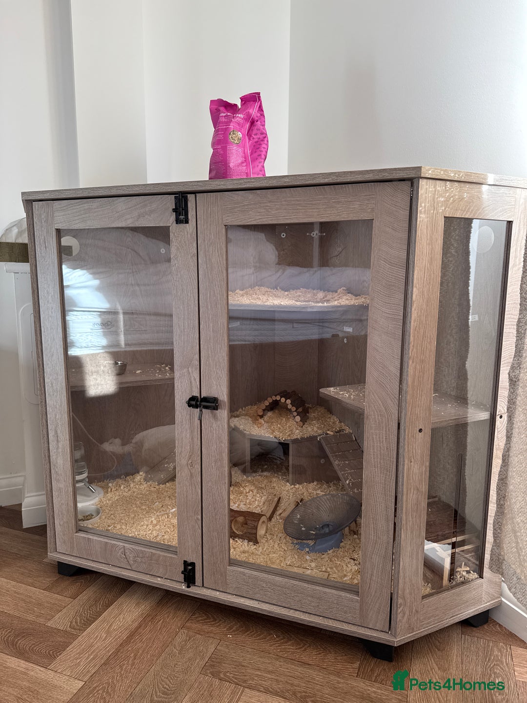 Hamster rodents for sale: Hamster and cage for sale - Advert 2