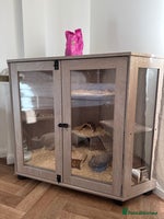 Hamster rodents Hamster - Advert 2