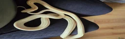 Corn Snake reptiles for sale: Female albino cornsnake approx 6 years old proven  - Advert 4
