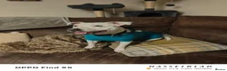 Mixed Breed dogs for sale: Dog for rehoming ASAP  in Longhope - Advert 7