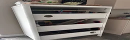 Guinea Pig rodents for sale: Two females - with full cage - Advert 7