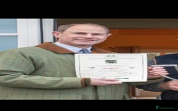 Cockapoo dogs for sale: KC CH LINE LIVER COCKER SPANIEL BITCHES - Advert 7