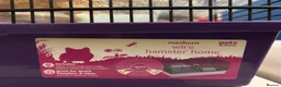 Hamster rodents for sale: Female Hamster with Full Setup in Reading - Advert 5
