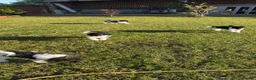 Standard Poodle dogs for sale: READY NOW!! KC reg & fully vaccinated  - Advert 5
