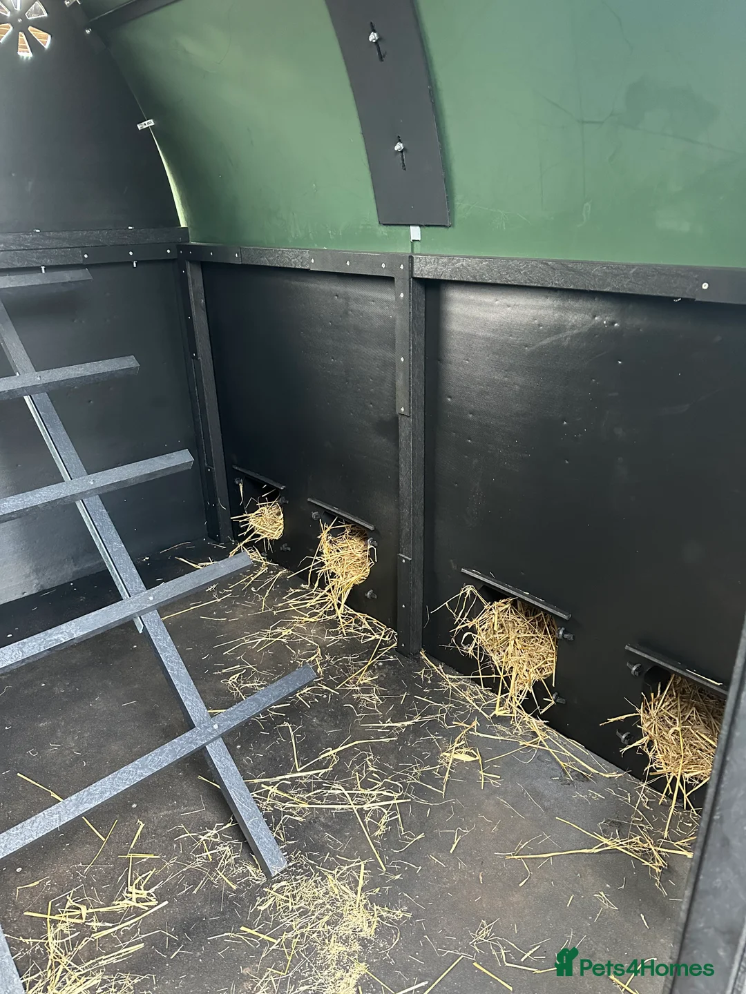 Mixed Breed poultry for sale: Large Hen House - Recycled - 50 Birds - Advert 4