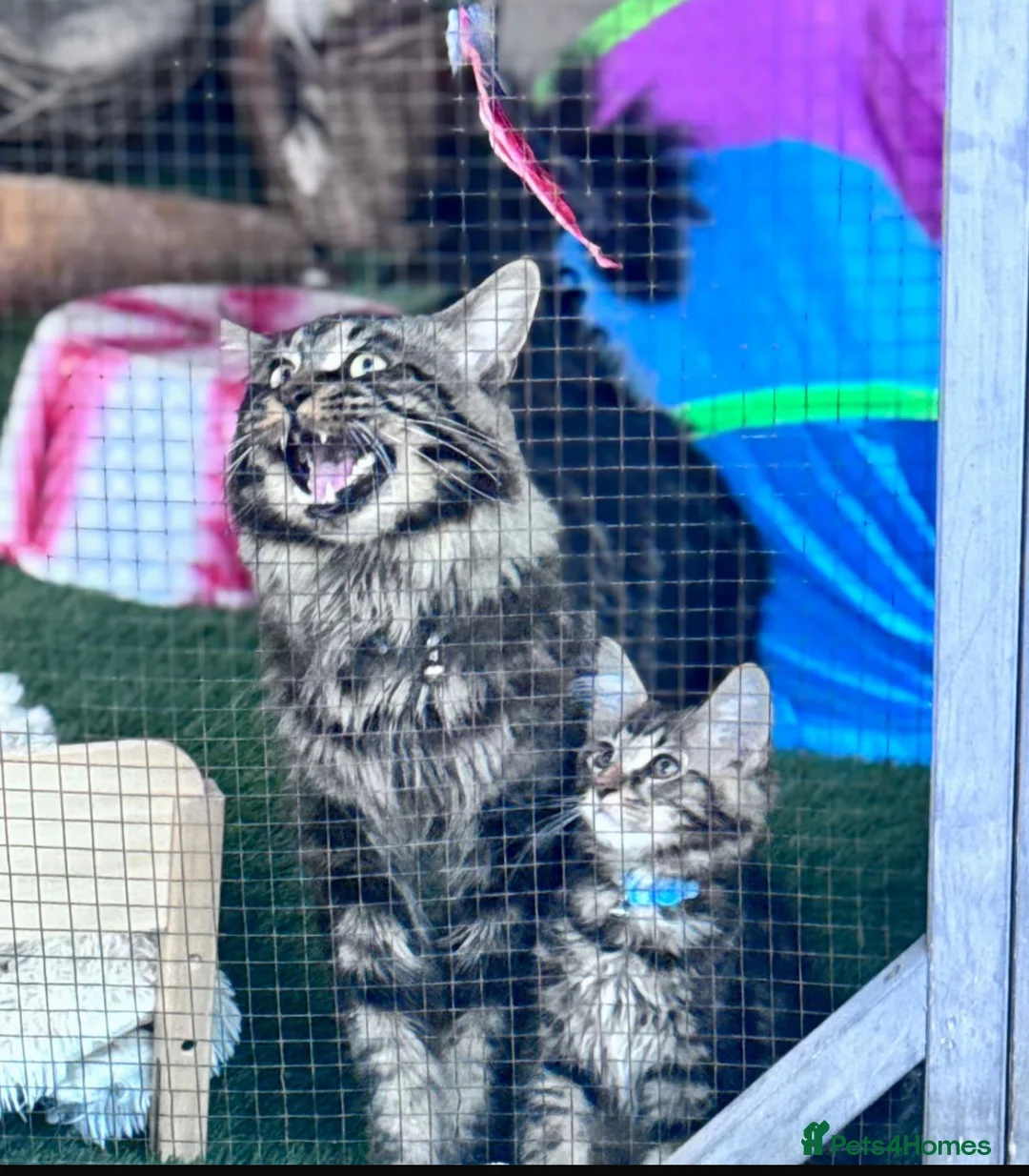 Gallery Image {{count}}