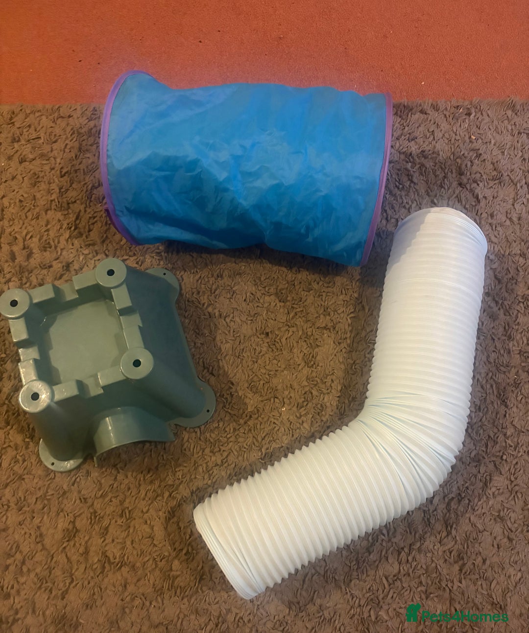 Ferret rodents for sale: Friendly cute ferret looking for a good home  - Advert 5