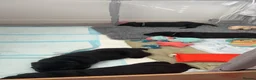 Labrador Retriever dogs for sale: Black Labrador puppies - Advert 7