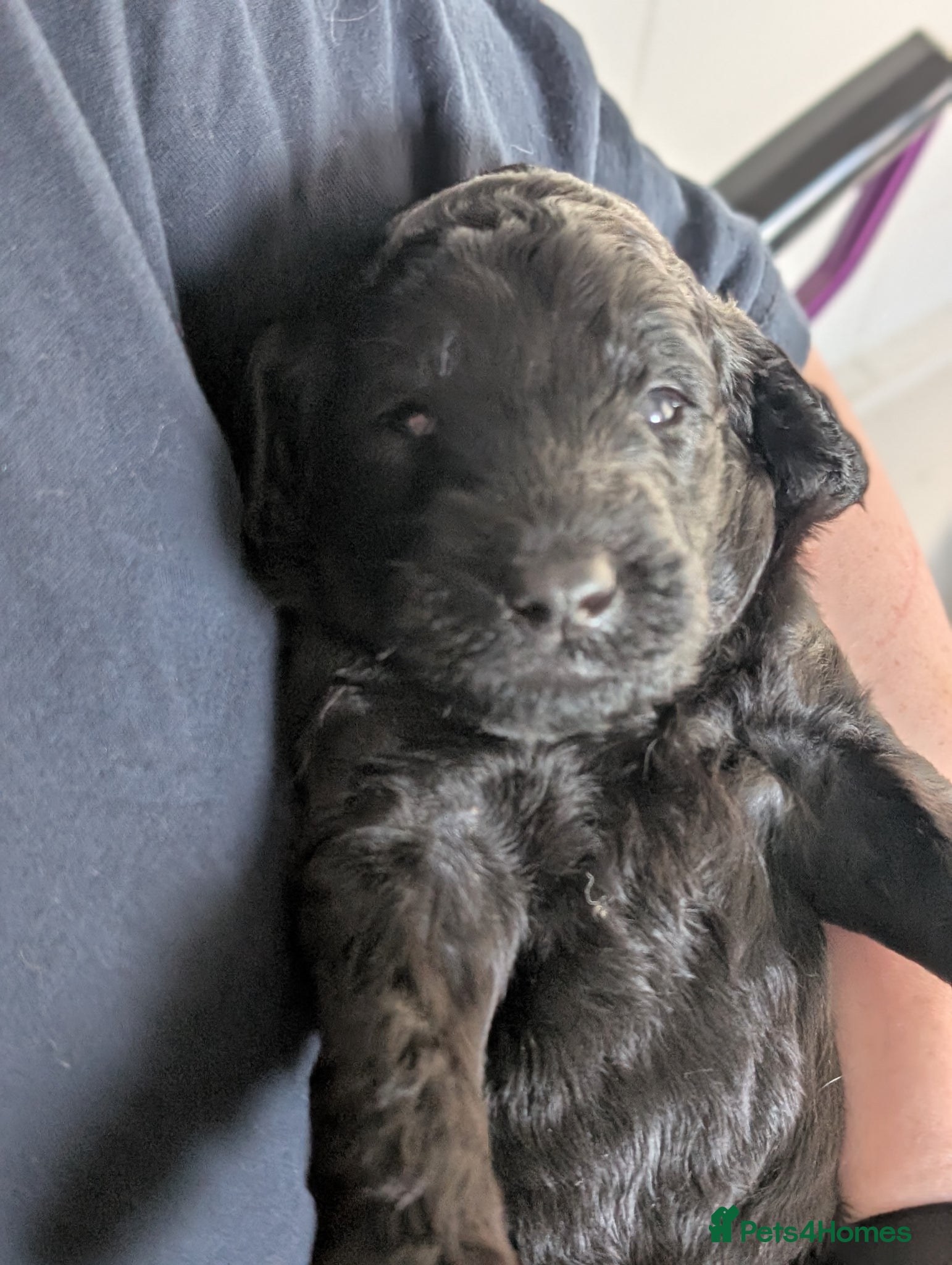 black male