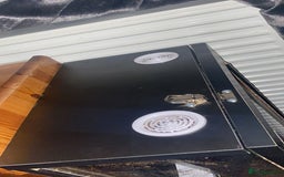 Leopard Gecko reptiles for sale: leopard gecko - Image 17