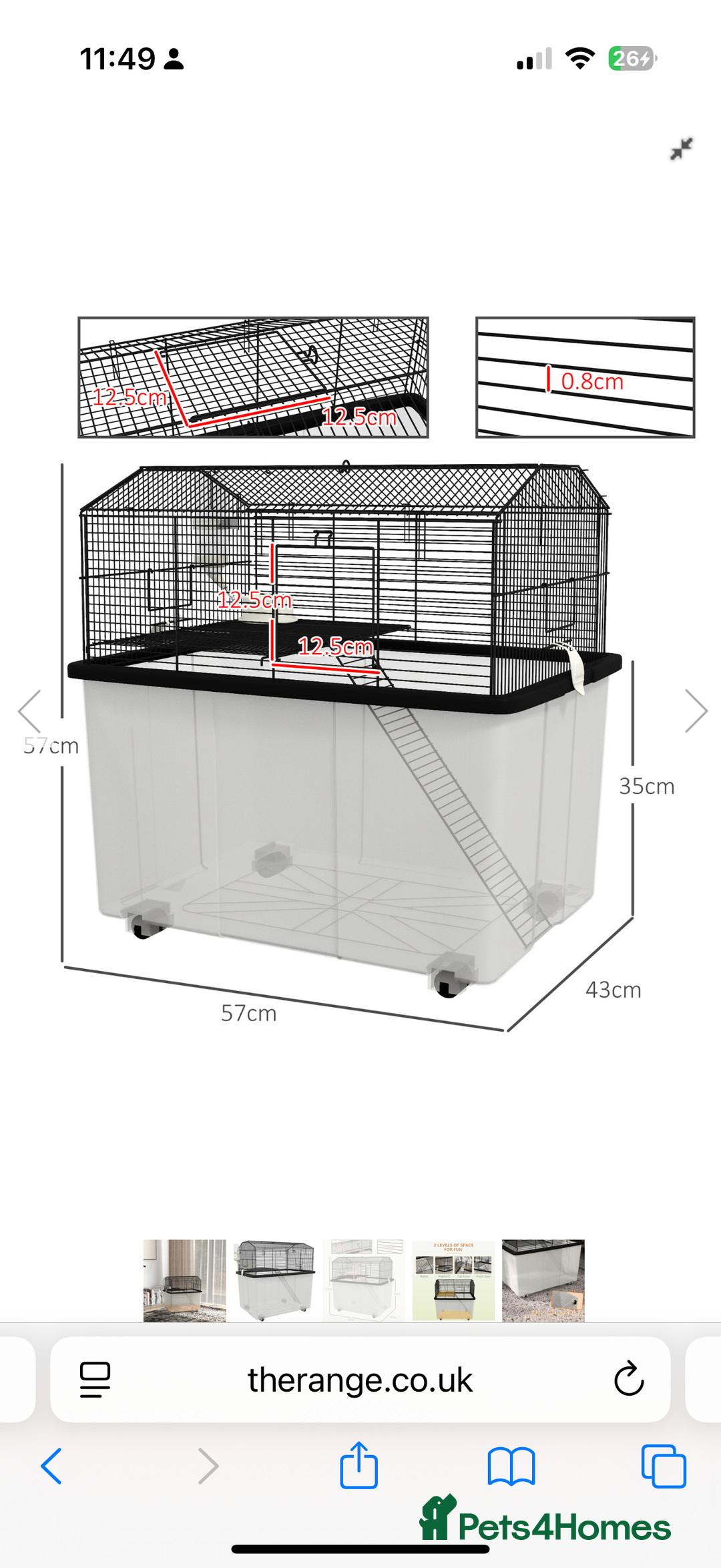 Gerbil rodents for sale: Baby Gerbil Sisters + Full Cage Setup - Advert 4