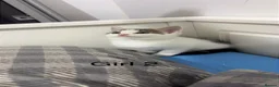 Mixed Breed cats for sale: Mixed kittens  - Advert 4