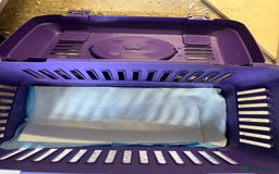 Pygmy Hedgehog rodents for sale: Young black boy/ full set up / carrier ready today - Image 9
