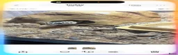 Leopard Gecko reptiles for sale: leopard gecko vivarium full setup in Luton - Advert 3