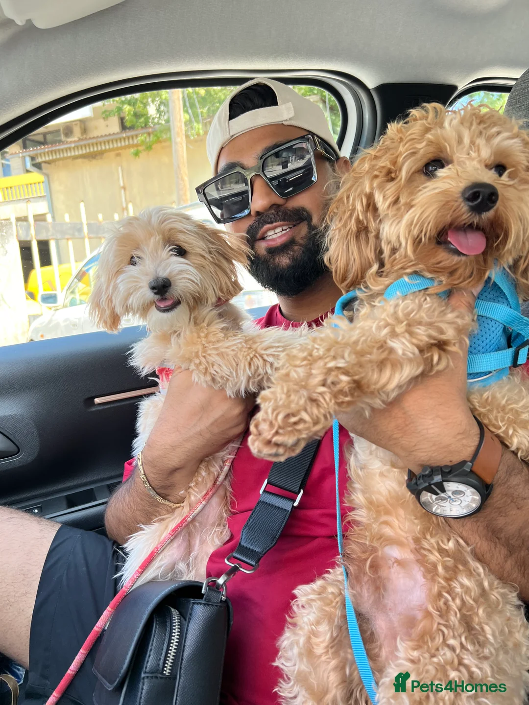 Gallery Image {{count}}