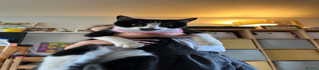 Slippers- can be renamed