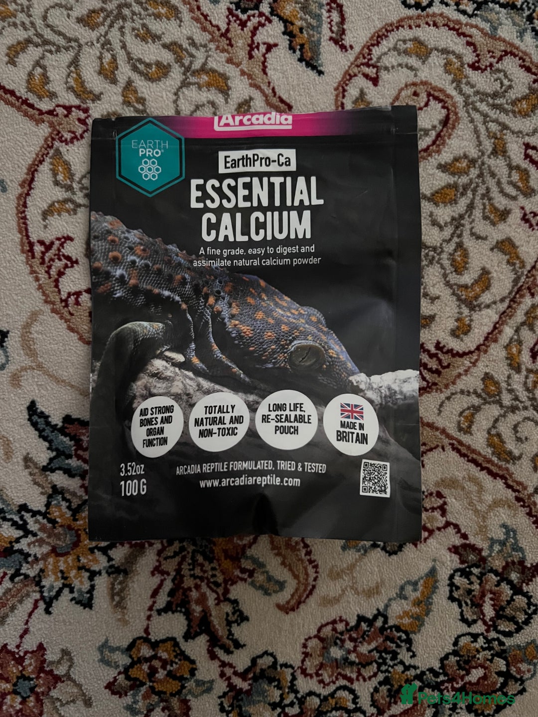 Tortoise reptiles for sale: Horsefield tortoise - Advert 15