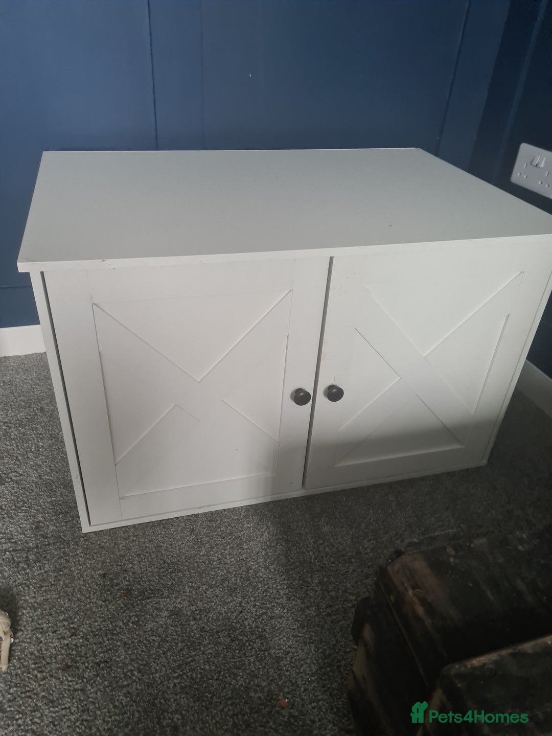 Mixed Breed cats for sale: Kitty - 1 year old, Tabby Cat - Advert 3