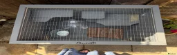 Mixed Breed rodents for sale: PawHut Wooden 3-Tier Hamster Small Animal Cage - Advert 5