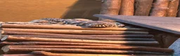Lizard reptiles for sale: Uromastyx ornata in Southampton - Advert 3
