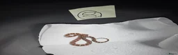 Corn Snake reptiles for sale: Various baby corn snakes unsexed x13 Bolton - Advert 8