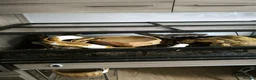 Python Snake reptiles for sale: Juvenile Royal (Ball) python + all kit - Advert 2
