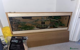 Corn Snake reptiles for sale: Corn Snake and Full Setup (£3), URGENT REHOMING - Image 3