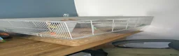 Gerbil rodents for sale: *Free* Gerbils x2 and cage in Paignton - Advert 5