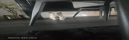 British Shorthair cats for sale: British blue short hair female  - Advert 1