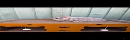 Netherland Dwarf rabbits for sale: 2 Male rabbits - Advert 5