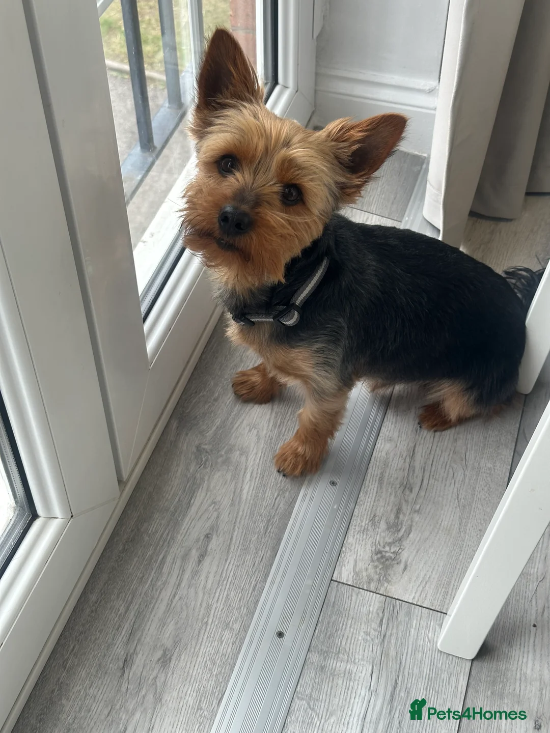 Gallery Image {{count}}