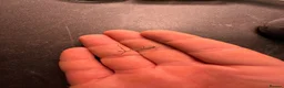 Stick Insects invertebrates for sale: Baby Stick Insects & Various Mantids Available! - Advert 3