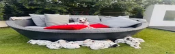 Dalmatian dogs for sale: 🖤 Ready now ONE BOY LEFT Dalmatian Puppies 🖤 - Advert 13