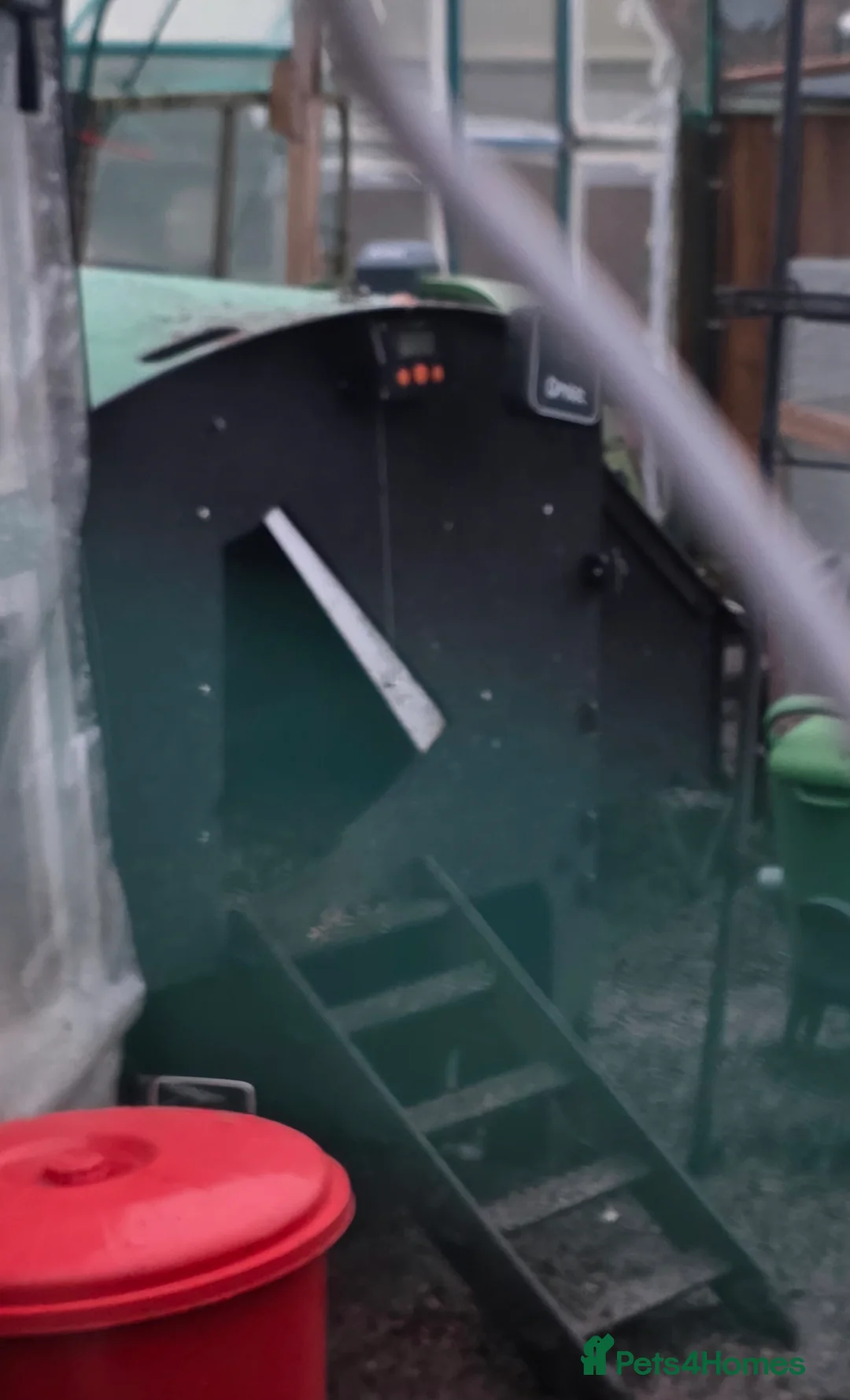 Chickens poultry for sale: 23 chickens for sale, along with various coops in Derby - Advert 2